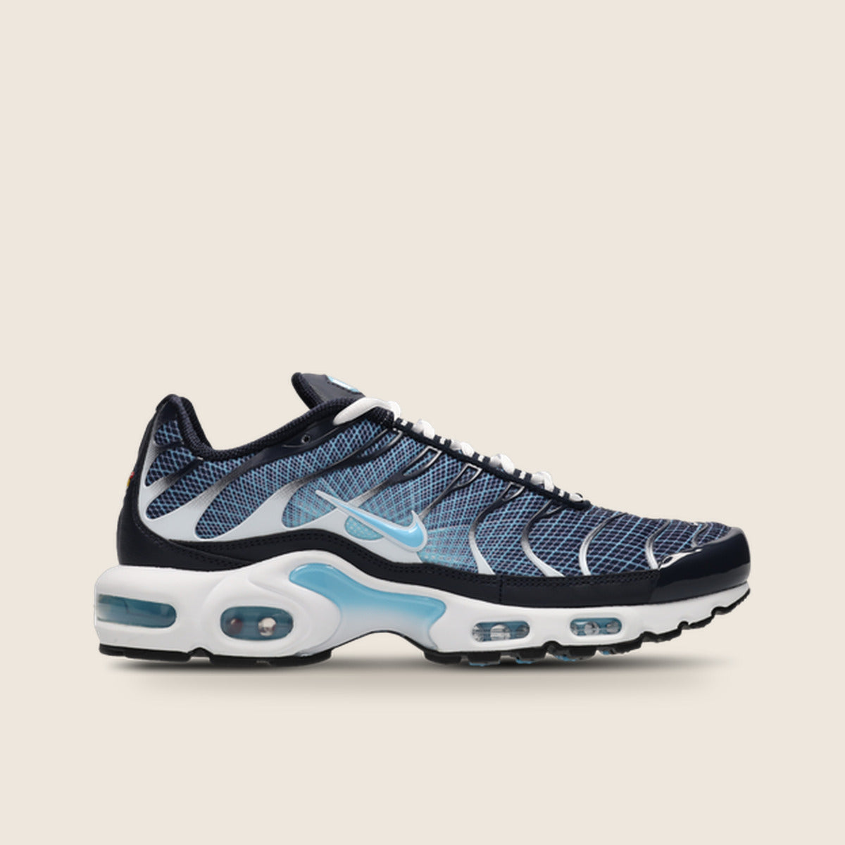 Nike Air Max Plus TN — Bleu