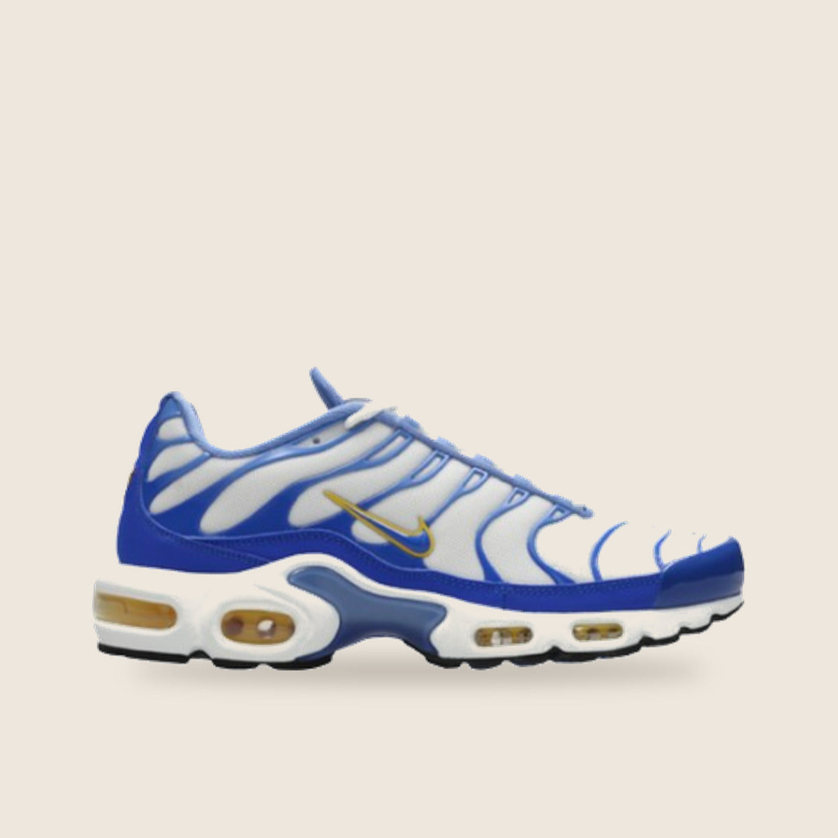 Nike Air Max Plus TN — Gris et noir